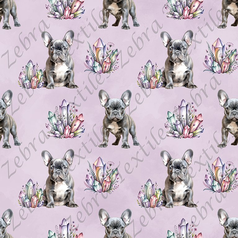 Bouledogue français et cristaux fond mauve