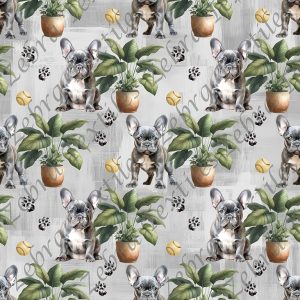 Bouledogue français et plante fond gris