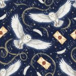 Hibou et lettre magique