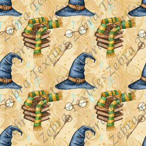 Livre et chapeau de sorcier