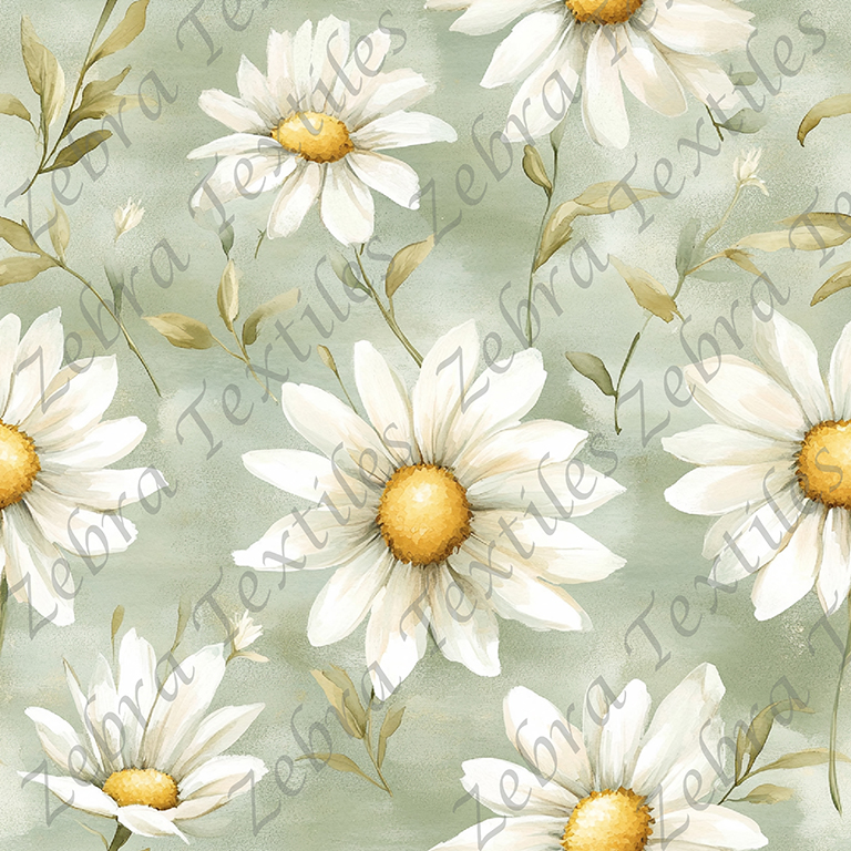 Marguerite fond sauge