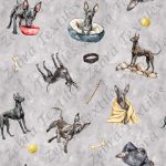 Péruvien et os fond gris