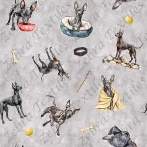 Péruvien et os fond gris