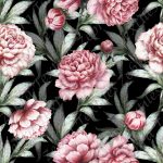 Pivoine rose et feuille verte fond noir