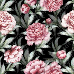 Pivoine rose et feuille verte fond noir