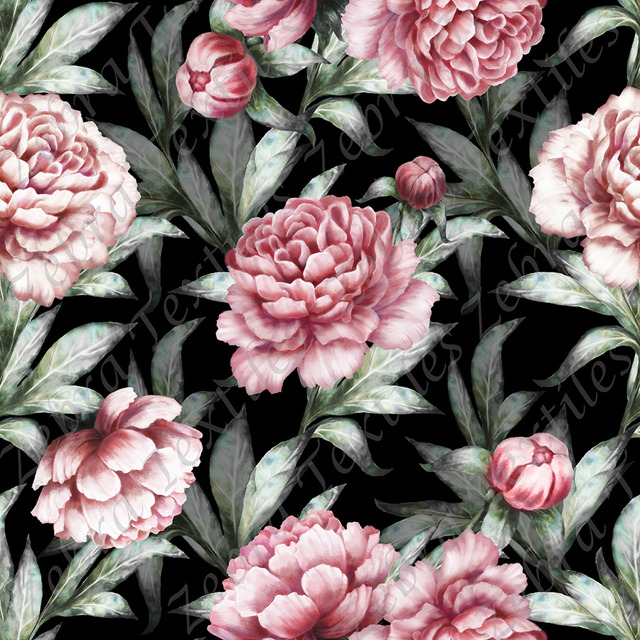 Pivoine rose et feuille verte fond noir Pivoine rose et feuille verte fond noir