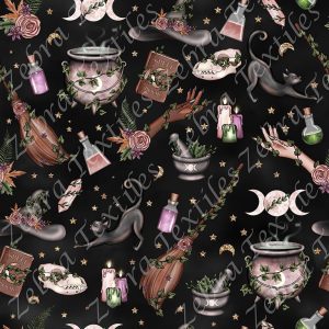 Sorcière des bois et chat fond noir