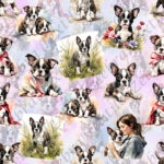 Bébé boston terrier mignon