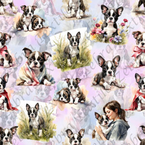 Bébé boston terrier mignon