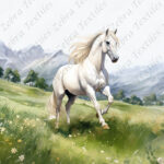 Cheval blanc au champs