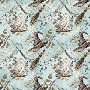 Magicien sorcier boho fond aqua