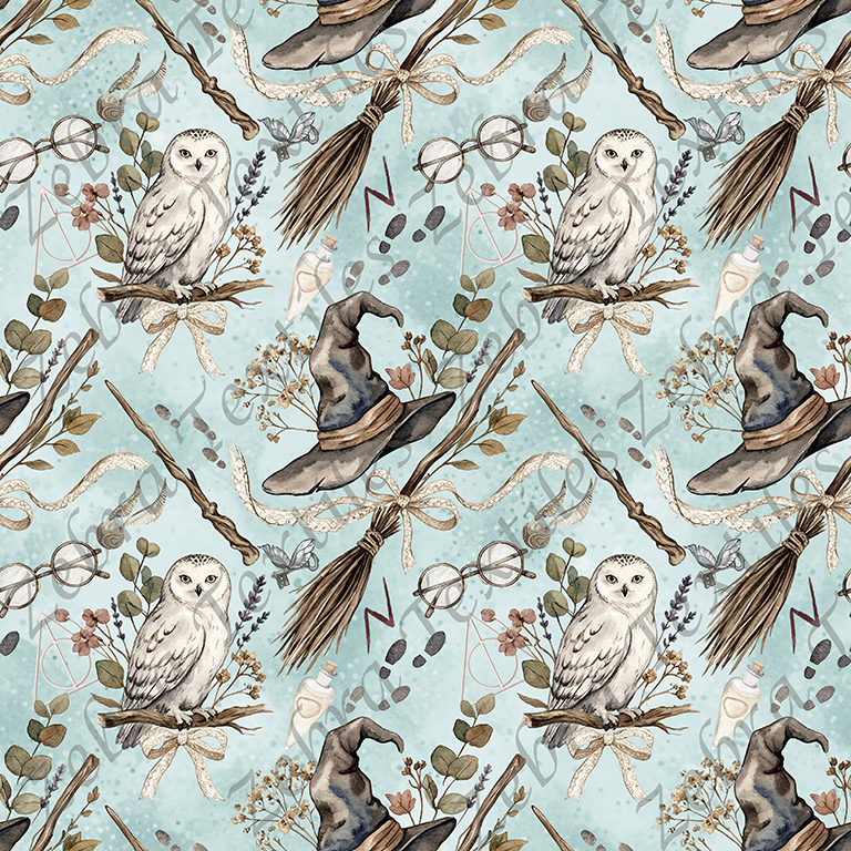 Magicien sorcier boho fond aqua