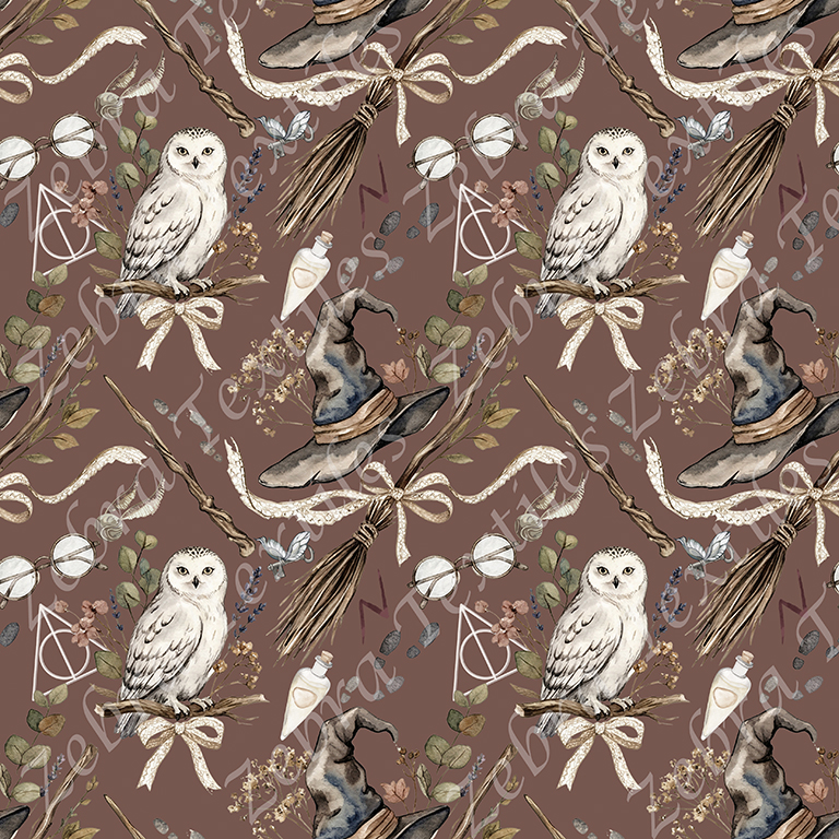 Magicien sorcier boho fond foncé